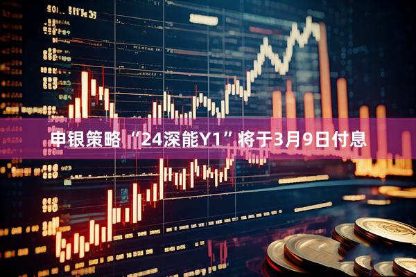 申银策略 “24深能Y1”将于3月9日付息