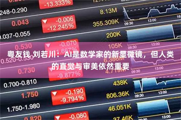 粤友钱 刘若川：AI是数学家的新显微镜，但人类的直觉与审美依然重要