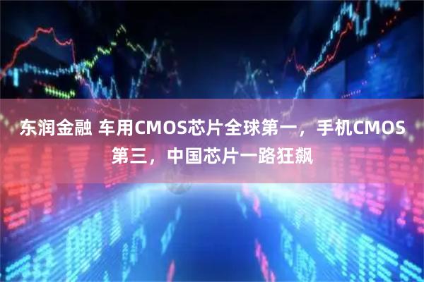 东润金融 车用CMOS芯片全球第一，手机CMOS第三，中国芯片一路狂飙