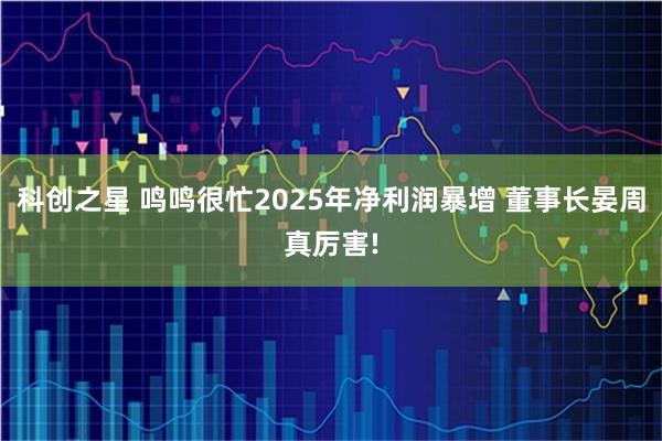 科创之星 鸣鸣很忙2025年净利润暴增 董事长晏周真厉害!