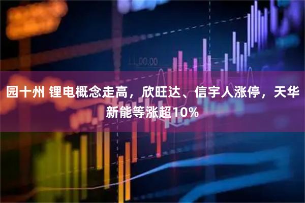 园十州 锂电概念走高，欣旺达、信宇人涨停，天华新能等涨超10%