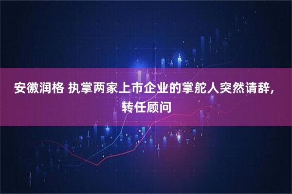 安徽润格 执掌两家上市企业的掌舵人突然请辞, 转任顾问