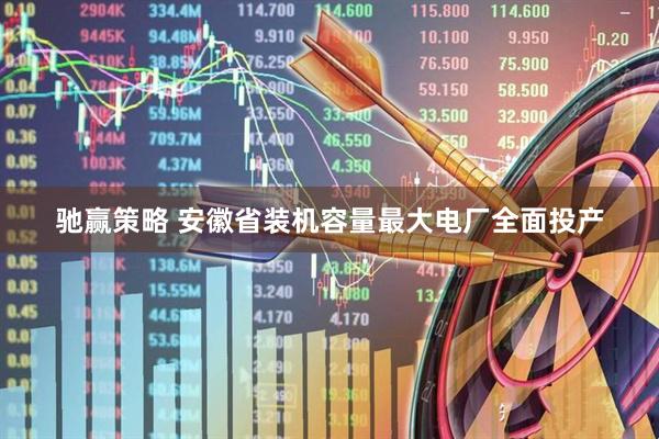 驰赢策略 安徽省装机容量最大电厂全面投产