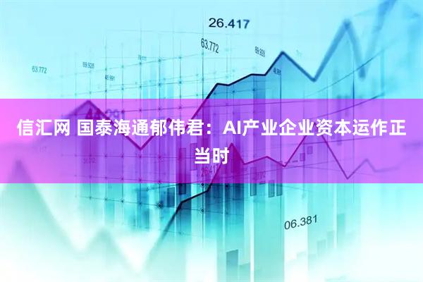 信汇网 国泰海通郁伟君:AI产业企业资本运作正当时